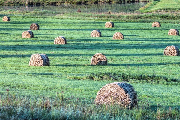 AGRINSIEME, SODDISFAZIONE PER MODIFICHE INTRODOTTE ALLA PAC CON APPROVAZIONE REGOLAMENTO OMNIBUS